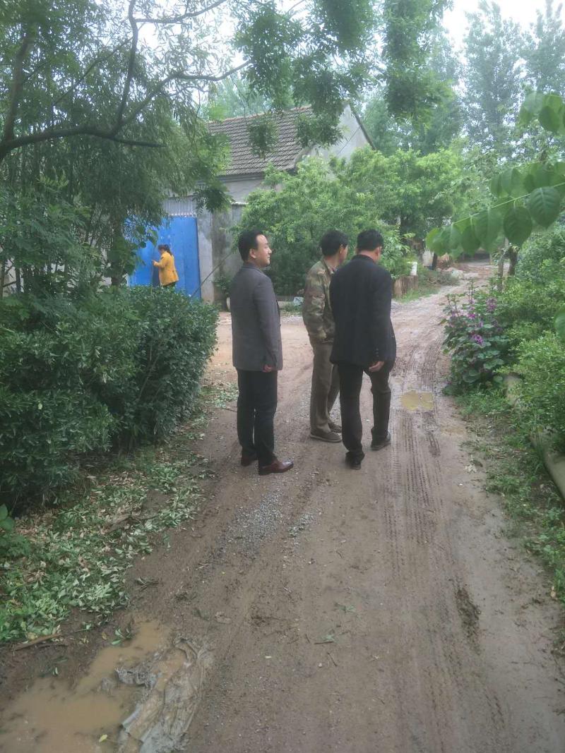 窑湾镇陆口村党支部