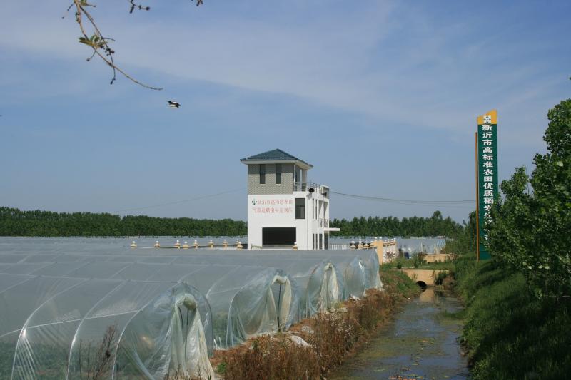 新沂市邵店镇高标准农田优质稻米基地.jpg