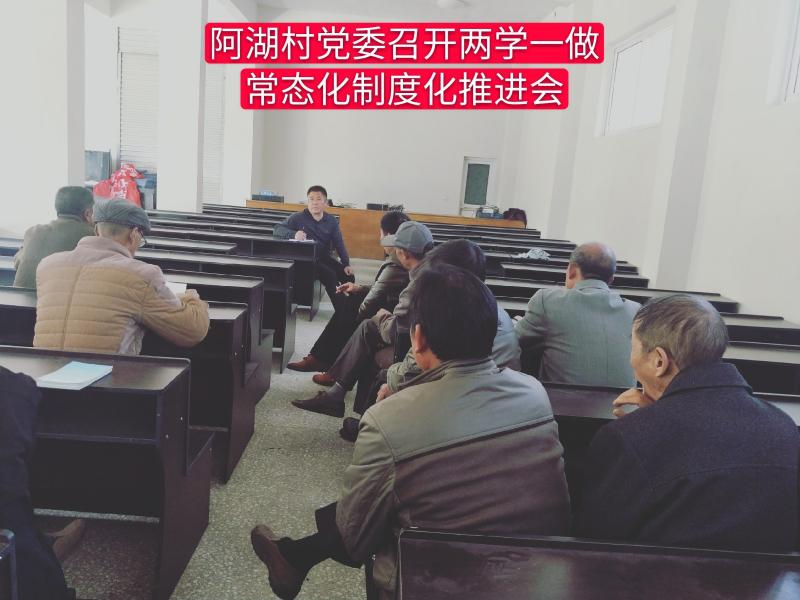 中共新沂市阿湖镇阿湖村委员会-党组织风采