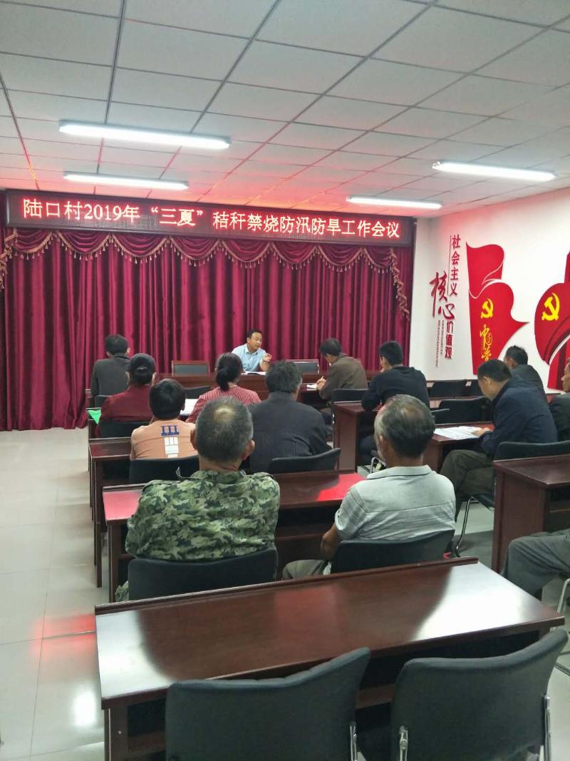 窑湾镇陆口村党支部