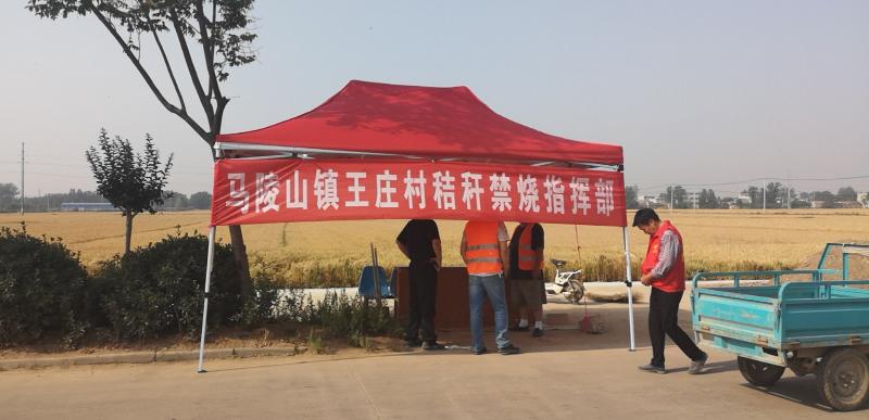 中共新沂市马陵山镇王庄村总支部委员会-党组织风采