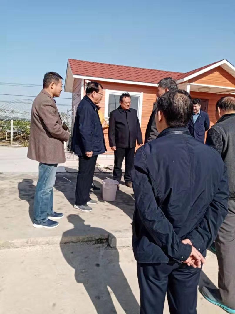 双塘镇九墩村党总支部